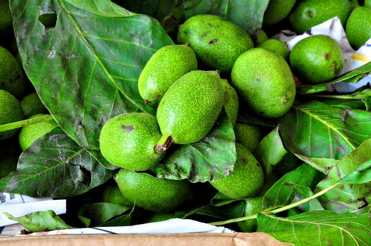 Green Walnuts