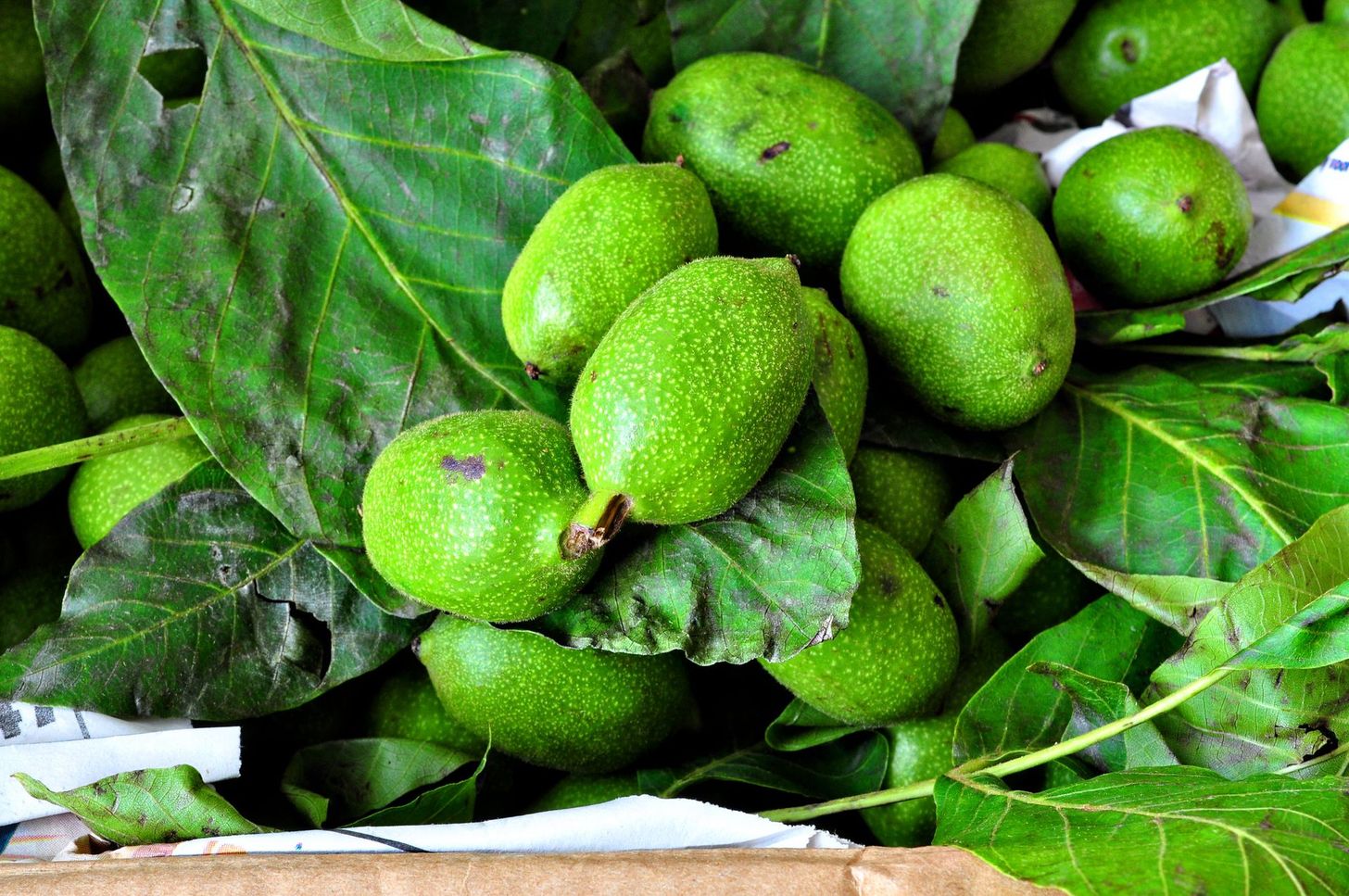 Green Walnuts